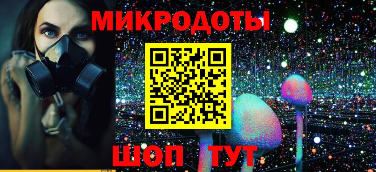 Галлюциногенные грибы Psilocybe Черногорск
